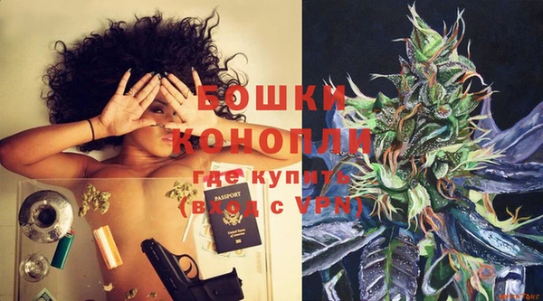 PSILOCYBIN Беломорск