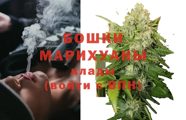 PSILOCYBIN Беломорск